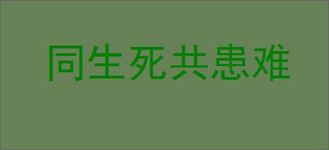 同生死共患难的意思,及其含义,同生死共患难基本解释