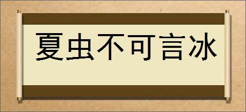 夏虫不可言冰的意思,及其含义,夏虫不可言冰基本解释