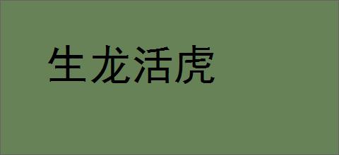 生龙活虎的意思,及其含义,生龙活虎基本解释