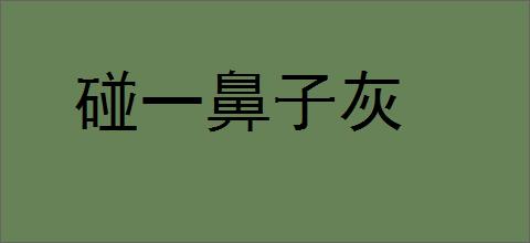 碰一鼻子灰的意思,及其含义,碰一鼻子灰基本解释