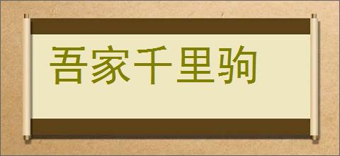 吾家千里驹的意思,及其含义,吾家千里驹基本解释