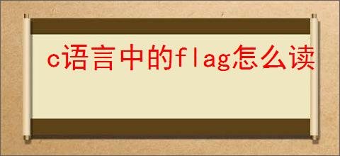 c语言中的flag怎么读