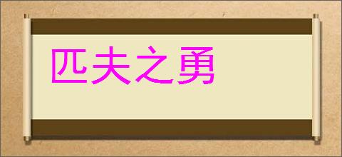 匹夫之勇的意思,及其含义,匹夫之勇基本解释