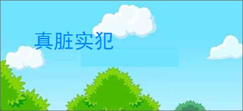 真脏实犯